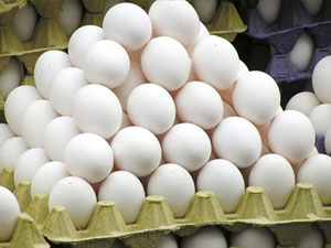 Egg